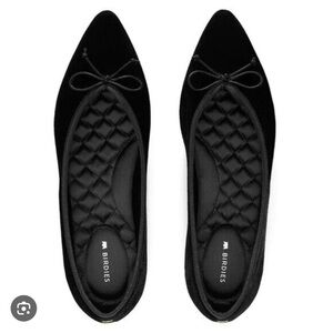 Birdies The Goldfinch